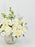 Champion White