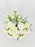 Champion White