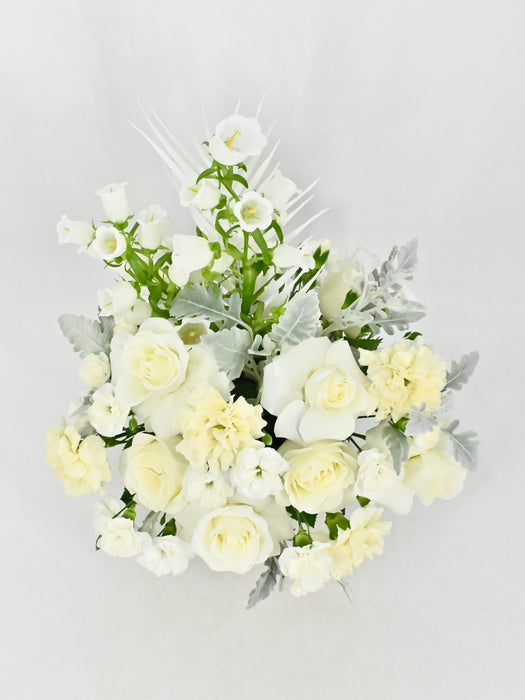 Champion White