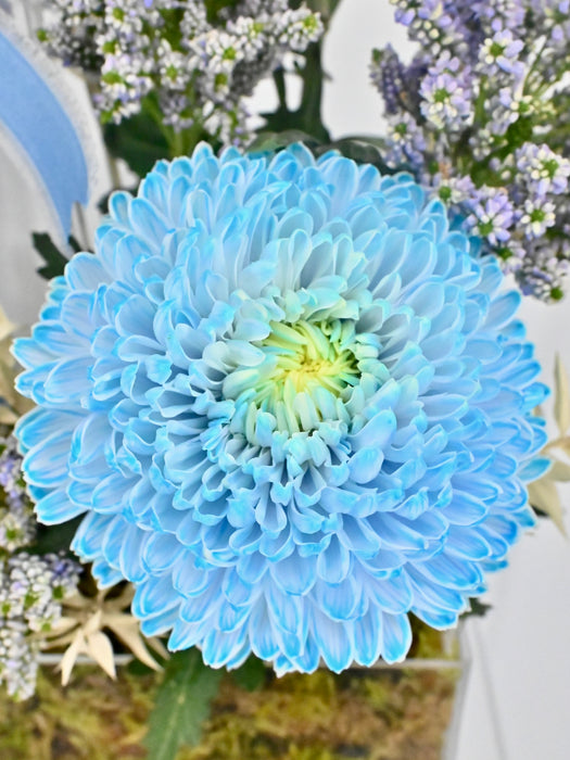 Tiffany Blue