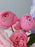 Sweet Wishes Cash Gift Arrangement