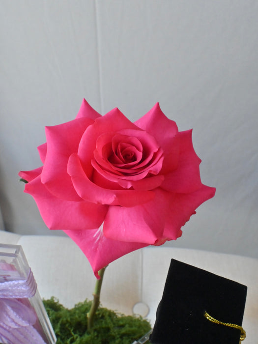 Graduation Bloom Money Arrangement