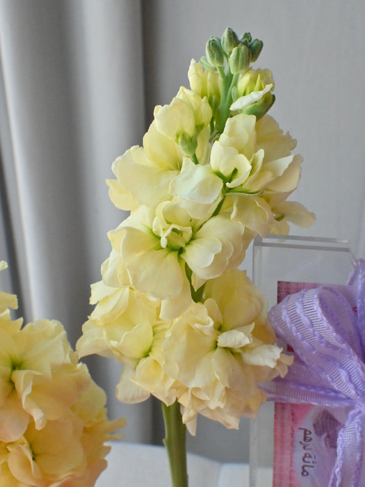 Graduation Bloom Money Arrangement