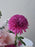 Rose Garden Gift Bag