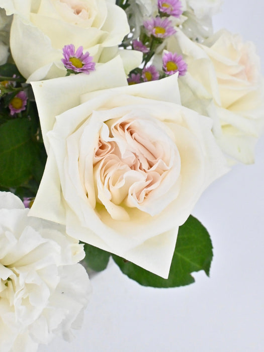 Scented O'hara