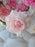 Orchid Grace Money Floral Arrangement
