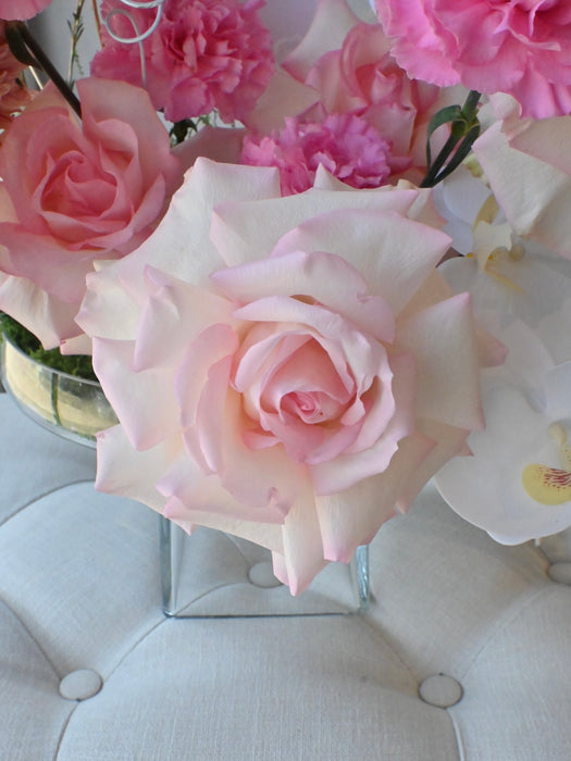 Orchid Grace Money Floral Arrangement