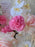 Orchid Grace Money Floral Arrangement
