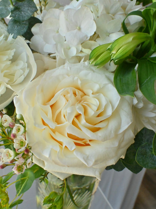 Classic Ivory Bloom