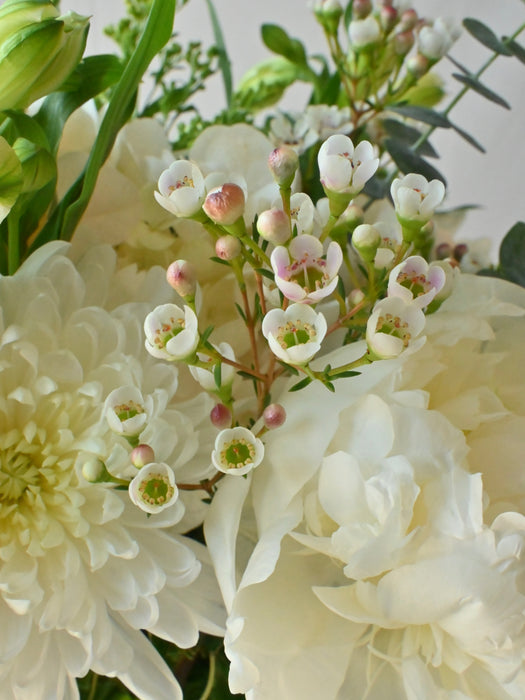 Classic Ivory Bloom