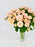 Apricot Gentle
