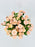 Apricot Gentle