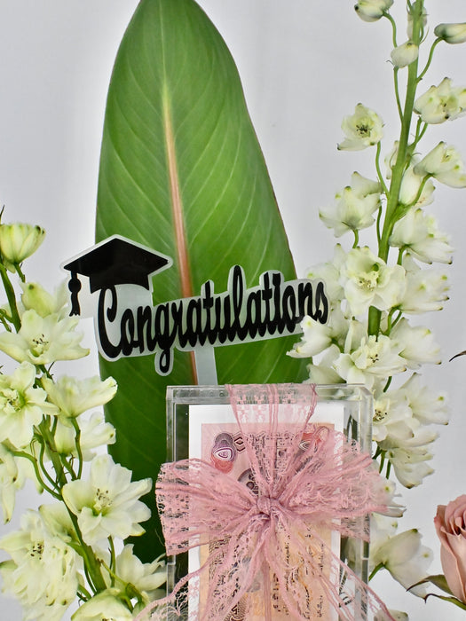 Delphy Chino Grad