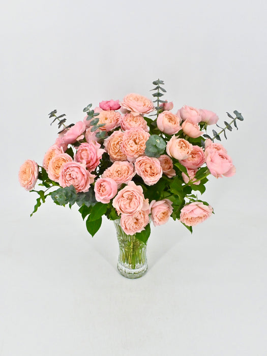 Julietta Spray
