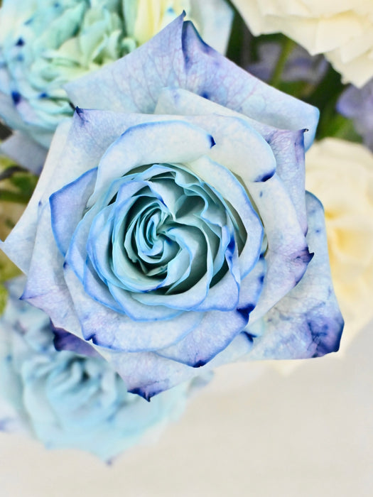 Dusty Blue