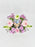 Baby Pink Money Garden