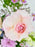 Baby Pink Money Garden