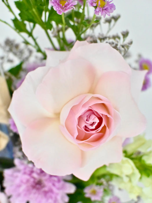 Baby Pink Money Garden