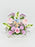 Baby Pink Money Garden