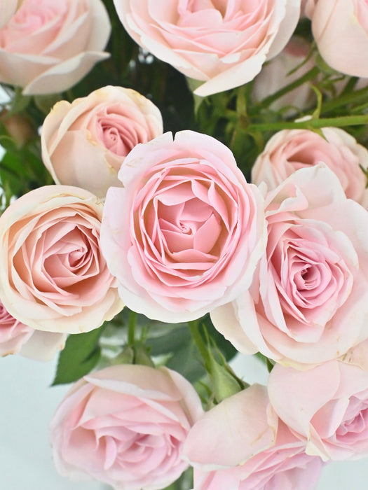 Pink Love