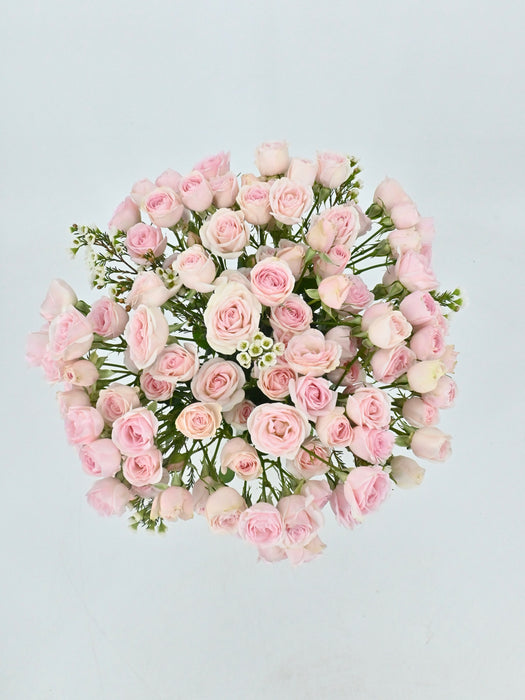 Pink Love