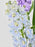 Lilac Grad