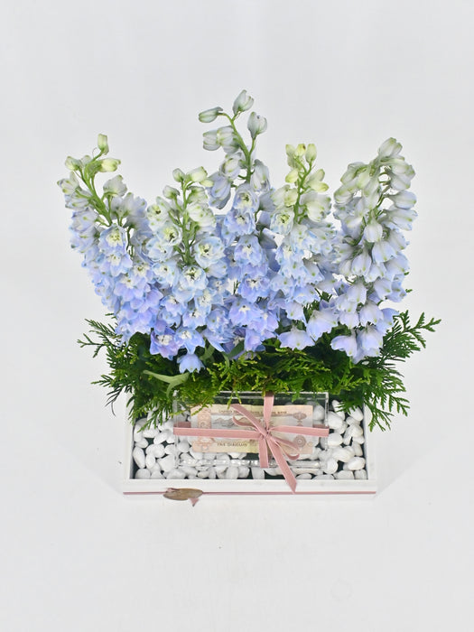 Delphy Blue