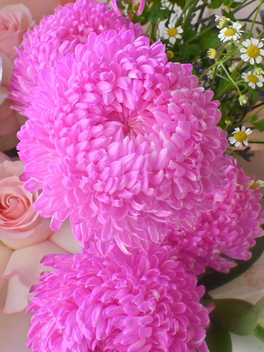 Magical Blooms