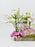 Symphoricarpos Mandy