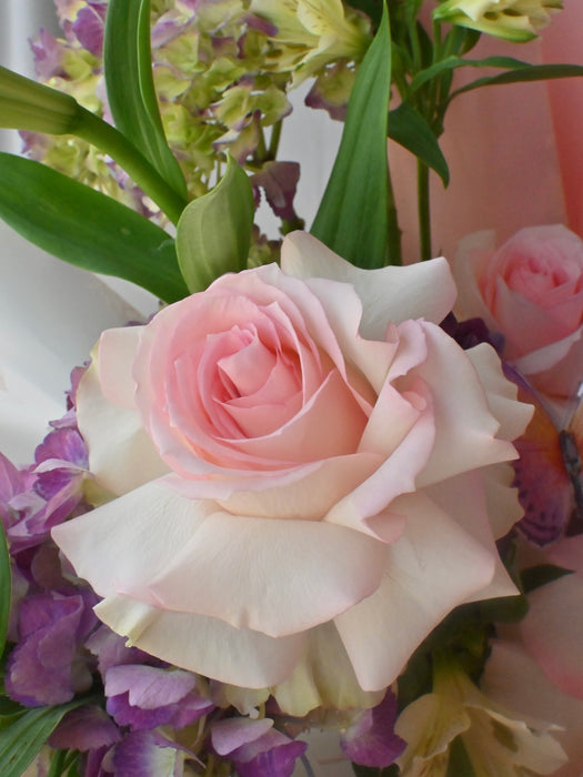 Magical Blooms