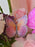 Magical Blooms