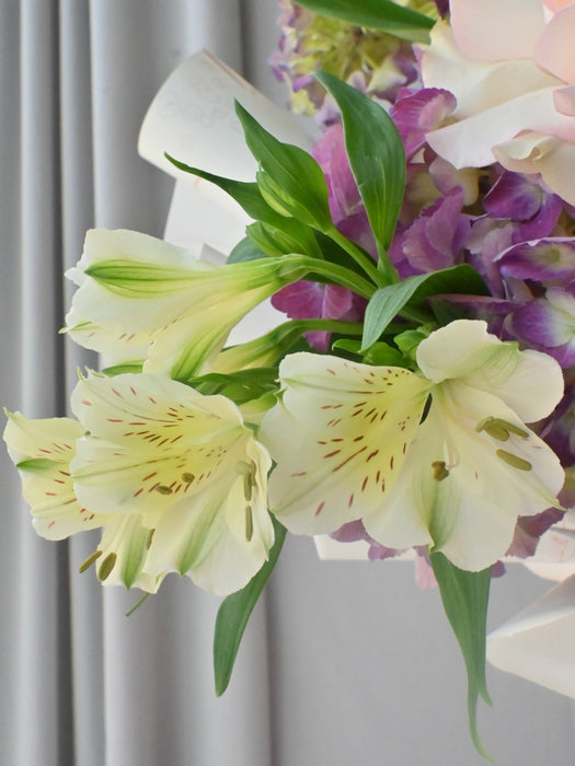 Magical Blooms
