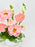 Charm Garden