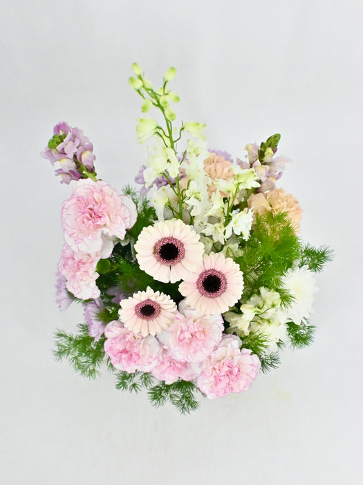 Pink Blooms
