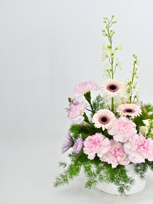 Pink Blooms