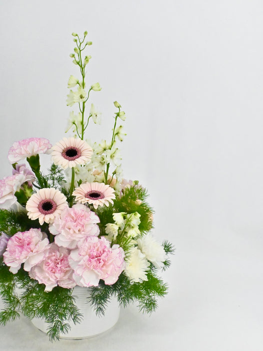 Pink Blooms