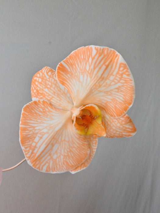 Blooming Prestige