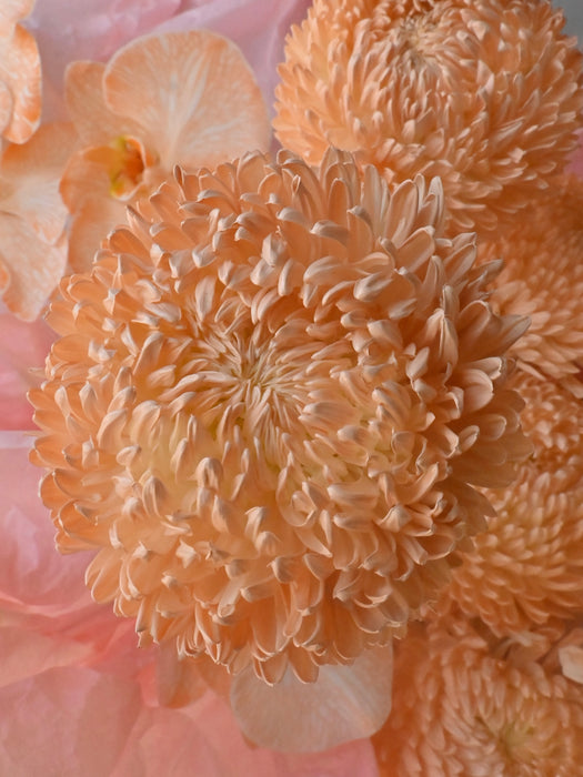 Blooming Prestige