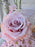 Pastel Bloom Harmony