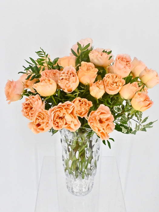 Apricot Lace