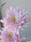 Pastel Bloom Harmony