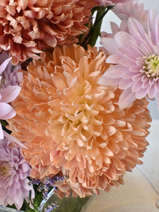 Pastel Bloom Harmony