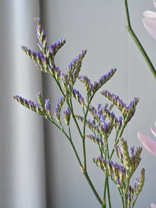 Pastel Bloom Harmony