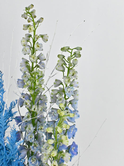 Delphy Blue Money Garden