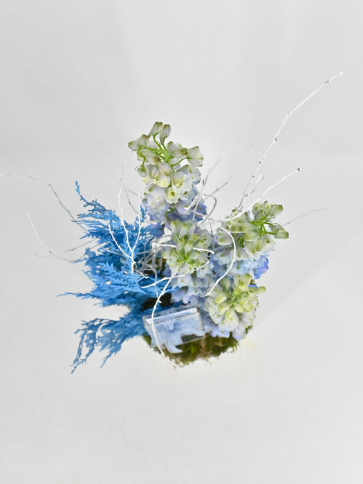 Delphy Blue Money Garden