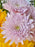 Sunshine Smile Bouquet