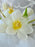 Heavenly Bloom Box with Customized Baby Name