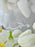 Heavenly Bloom Box with Customized Baby Name