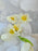 Heavenly Bloom Box with Customized Baby Name