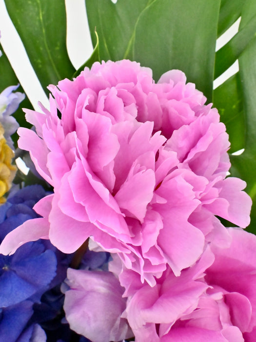 Travel Bloom